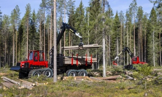 Forestry harvesting machines transporting timber logs
